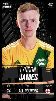 Lyndon James Collectible Surface Thumbnail
