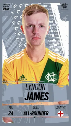 Lyndon James Collectible Surface Thumbnail