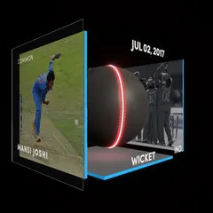 Mansi Joshi Collectible Surface Thumbnail