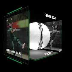 Marizanne Kapp Collectible Surface Thumbnail