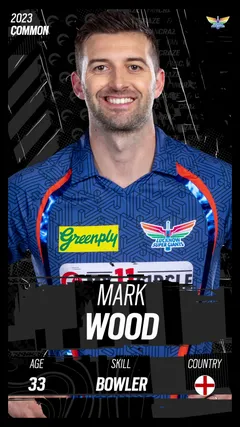 Mark Wood Collectible Surface Thumbnail