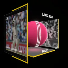 Marnus Labuschagne Collectible Surface Thumbnail