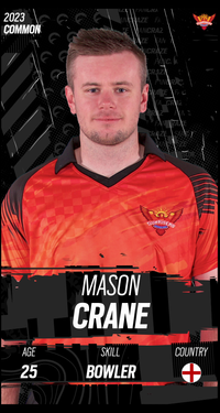 Mason Crane Collectible Surface Thumbnail