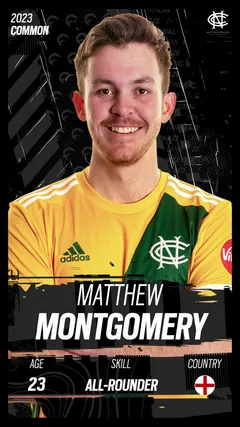 Matthew Montgomery Collectible Surface Thumbnail