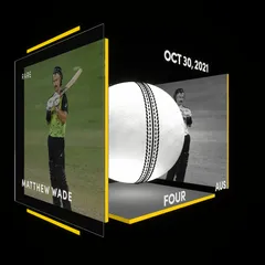 Matthew Wade Collectible Surface Thumbnail