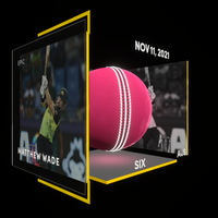 Matthew Wade Collectible Surface Thumbnail