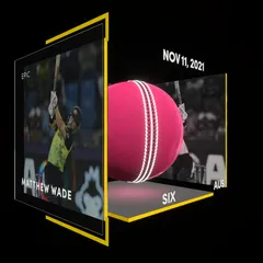 Matthew Wade Collectible Surface Thumbnail