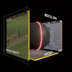 Megan Schutt Collectible Surface Thumbnail