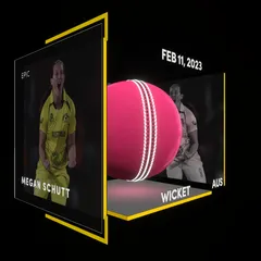 Megan Schutt Collectible Surface Thumbnail