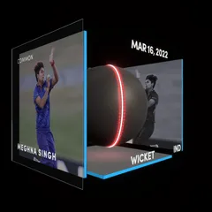 Meghna Singh Collectible Surface Thumbnail