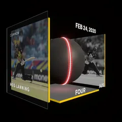 Meg Lanning Collectible Surface Thumbnail