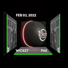 Mehran Mumtaz Collectible Surface Thumbnail