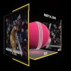 Michael Hussey Collectible Surface Thumbnail