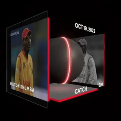 Milton Shumba Collectible Surface Thumbnail