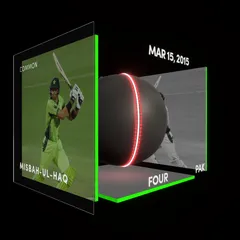 Misbah-ul-Haq Collectible Surface Thumbnail