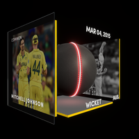 Mitchell Johnson Collectible Surface Thumbnail