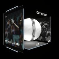 Mitchell Santner Collectible Surface Thumbnail