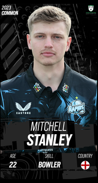 Mitchell Stanley Collectible Surface Thumbnail
