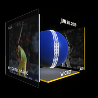 Mitchell Starc Collectible Surface Thumbnail