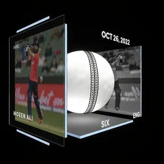 Moeen Ali Collectible Surface Thumbnail