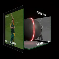 Morne Morkel Collectible Surface Thumbnail