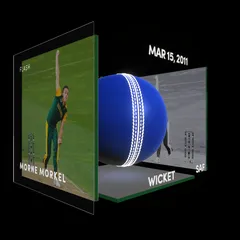 Morne Morkel Collectible Surface Thumbnail