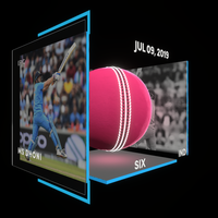 MS Dhoni Collectible Surface Thumbnail