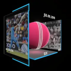 MS Dhoni Collectible Surface Thumbnail