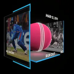 MS Dhoni Collectible Surface Thumbnail