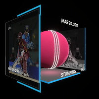 MS Dhoni Collectible Surface Thumbnail