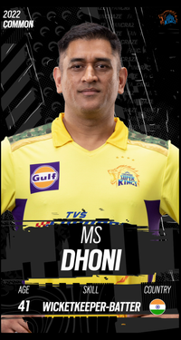 MS Dhoni Collectible Surface Thumbnail