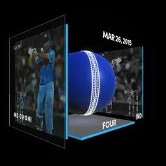 MS Dhoni Collectible Surface Thumbnail