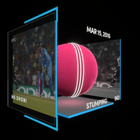 MS Dhoni Collectible Surface Thumbnail