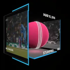 MS Dhoni Collectible Surface Thumbnail