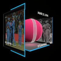 MS Dhoni Collectible Surface Thumbnail