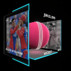 Mujeeb Ur Rahman Collectible Surface Thumbnail