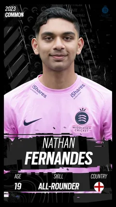 Nathan Fernandes Collectible Surface Thumbnail