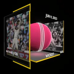 Nathan Lyon Collectible Surface Thumbnail