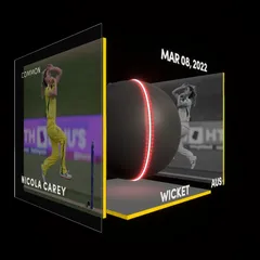 Nicola Carey Collectible Surface Thumbnail