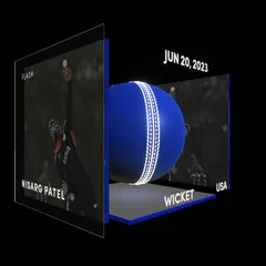 Nisarg Patel Collectible Surface Thumbnail