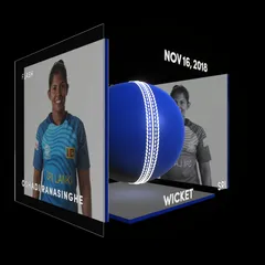 Oshadi Ranasinghe Collectible Surface Thumbnail