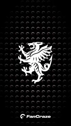 Peter Siddle Collectible Surface Thumbnail