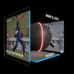 Pooja Vastrakar Collectible Surface Thumbnail