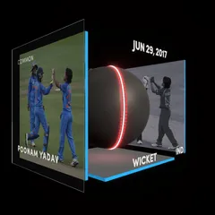 Poonam Yadav Collectible Surface Thumbnail