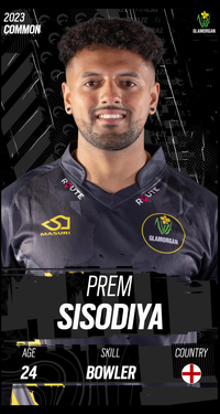 Prem Sisodiya Collectible Surface Thumbnail