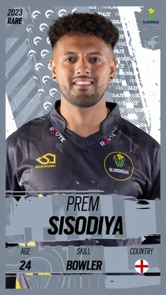 Prem Sisodiya Collectible Surface Thumbnail