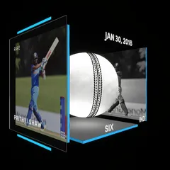Prithvi Shaw Collectible Surface Thumbnail