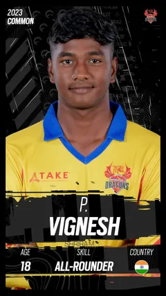 P. Vignesh Collectible Surface Thumbnail