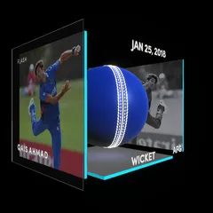 Qais Ahmad Collectible Surface Thumbnail
