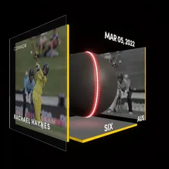 Rachael Haynes Collectible Surface Thumbnail